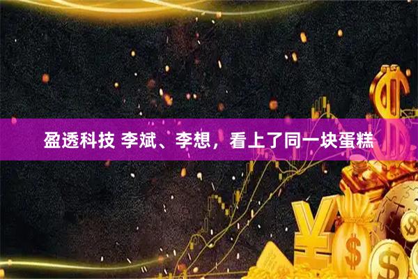 盈透科技 李斌、李想，看上了同一块蛋糕