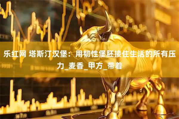 乐红网 塔斯汀汉堡：用韧性堡胚接住生活的所有压力_麦香_甲方_带着