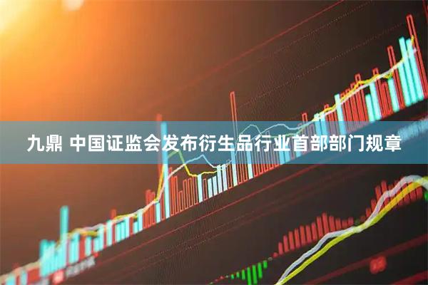 九鼎 中国证监会发布衍生品行业首部部门规章